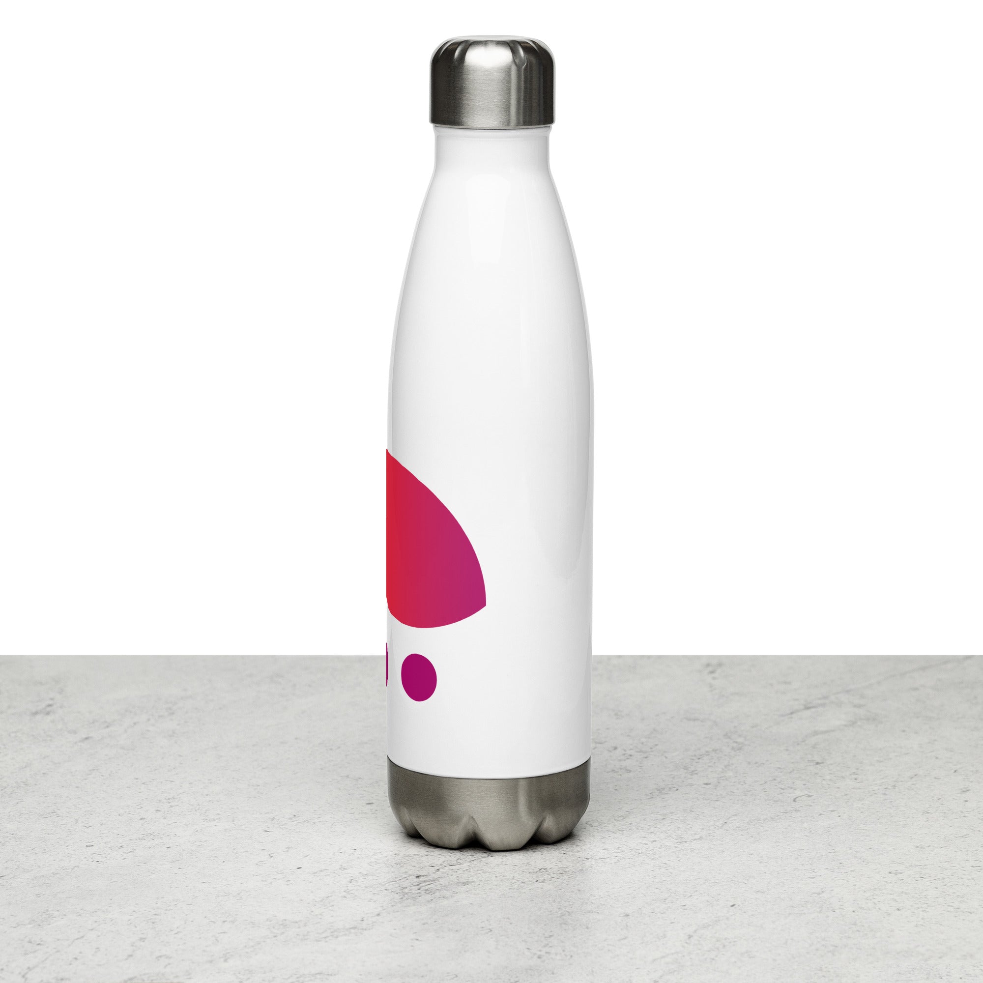 Stainless steel water bottle